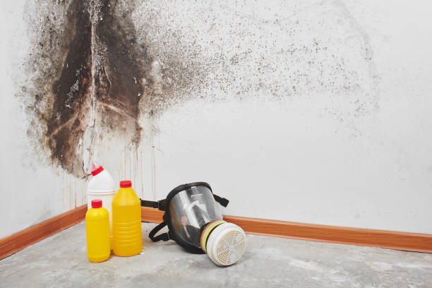 Best Residential Mold Removal  in Lake Brownwood, TX