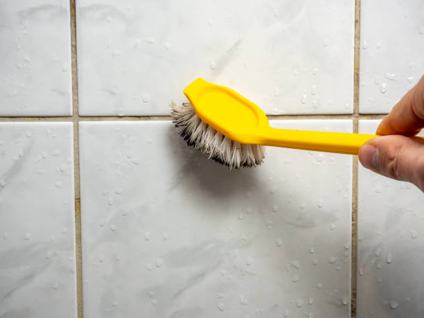 Best Certified Mold Removal  in Lake Brownwood, TX