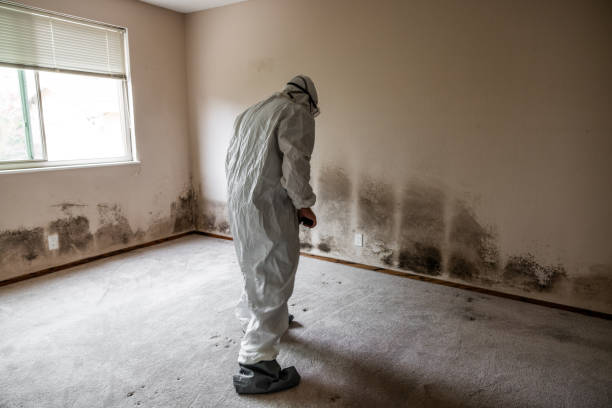 Mold Testing and Removal in Lake Brownwood, TX