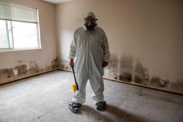 Professional Mold Removal in Lake Brownwood, TX