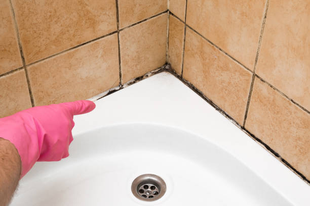 Best Mold Testing and Removal  in Lake Brownwood, TX